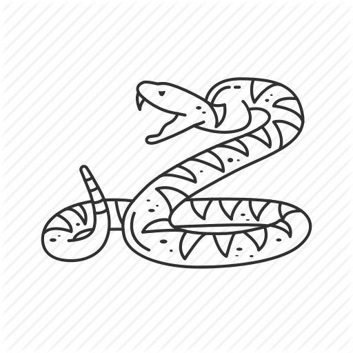 512x512 Diamondback Rattlesnake, Poisonous, Reptile, Serpent, Snake, Venom