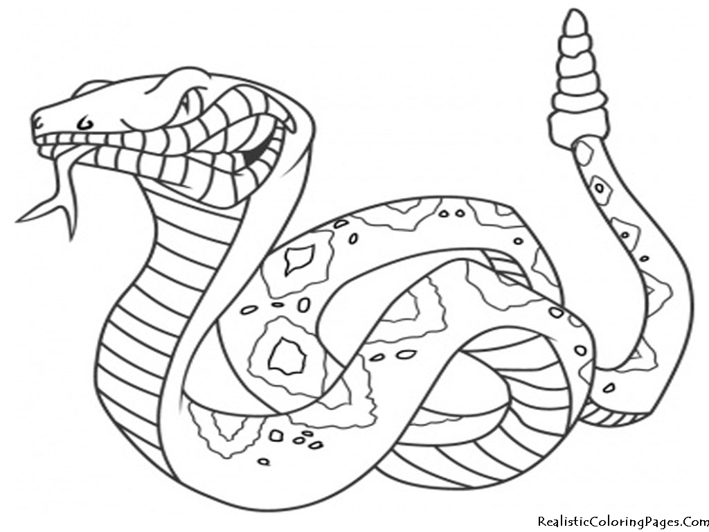 1024x768 50 Free Printable Snake Coloring Pages Huge Collection! Animal