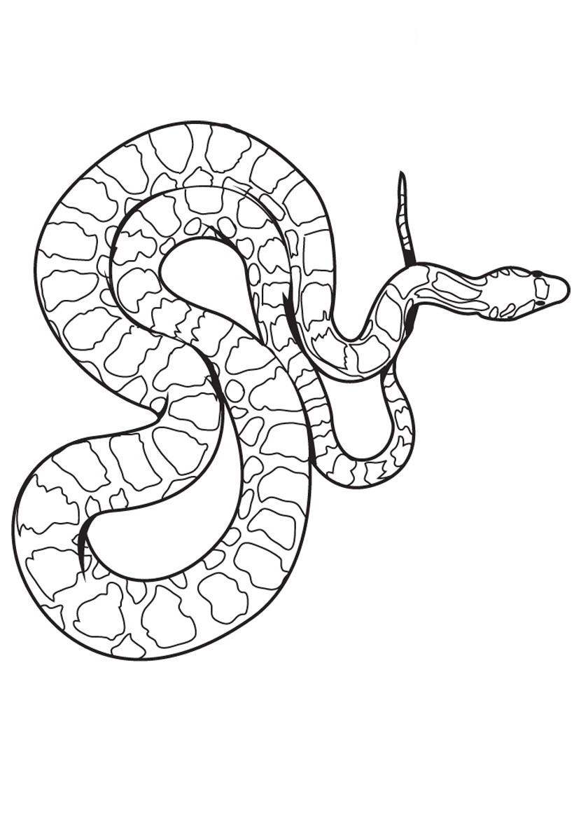 Viper Snake Drawing at GetDrawings | Free download