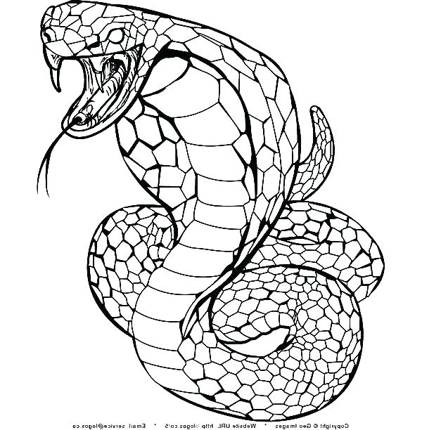 Viper Snake Coloring Page Sketch Coloring Page
