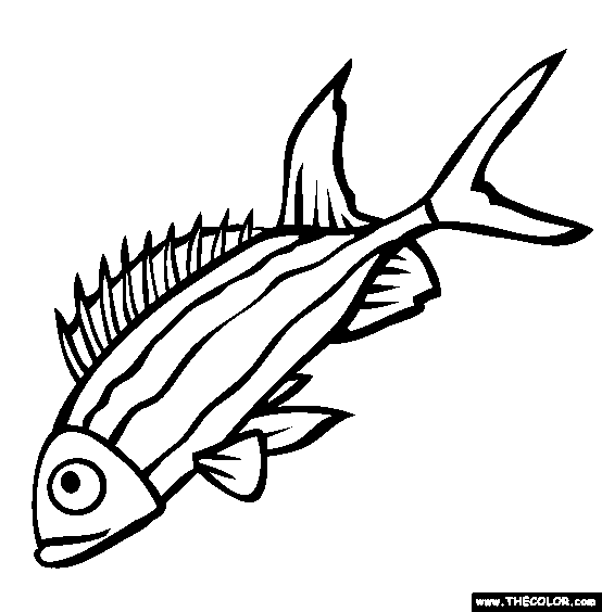 554x564 Sea Life Online Coloring Pages Page 1
