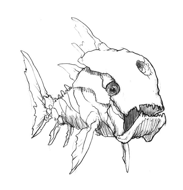 600x625 Skecthing Ancient Monster Fish Coloring Pages Color Luna