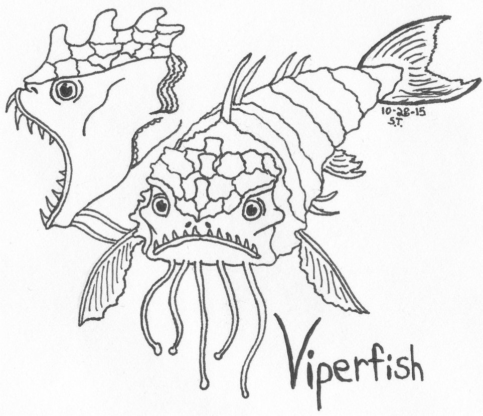 963x830 Alien Species Viperfish By Agent Sarah