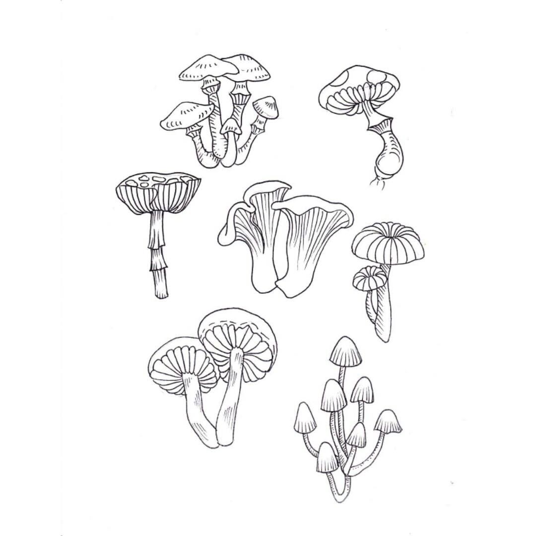 1080x1080 Mushroom