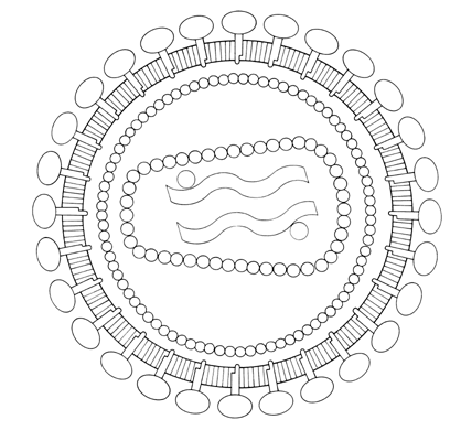 418x400 Webanatomy Image Bank Etc.