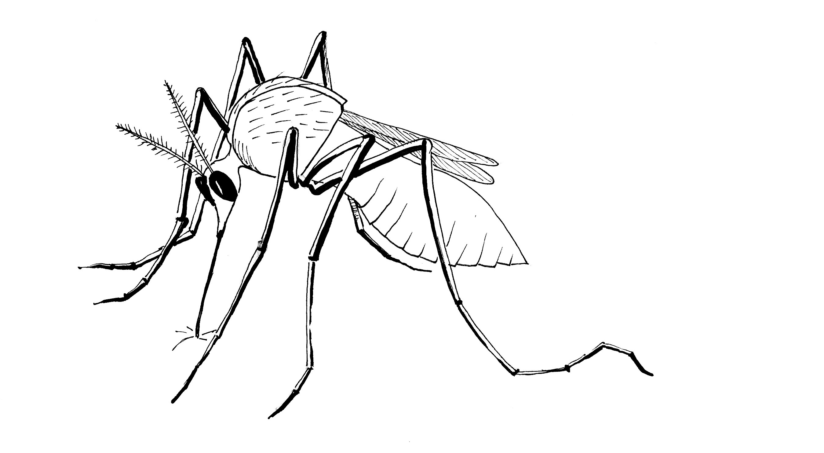 2698x1483 Globalhealthassignzika A Blog Aimed