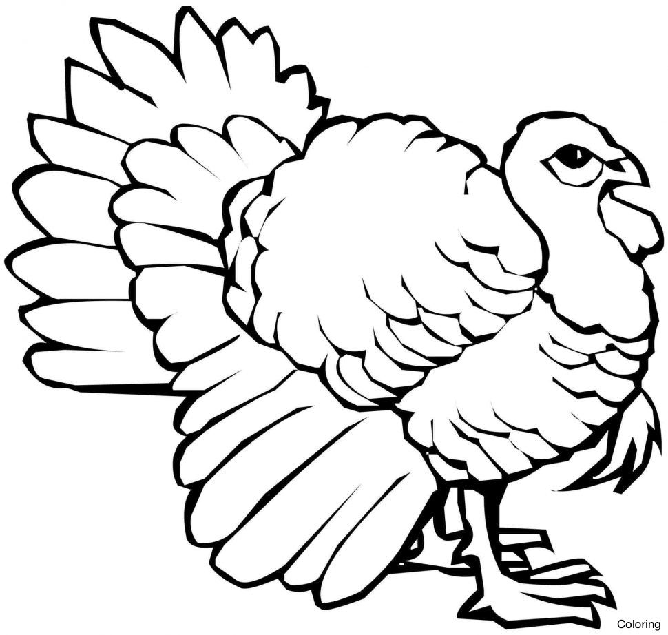 970x922 Turkey Holding Sign Thankful For Jesus Coloring Page Print Out