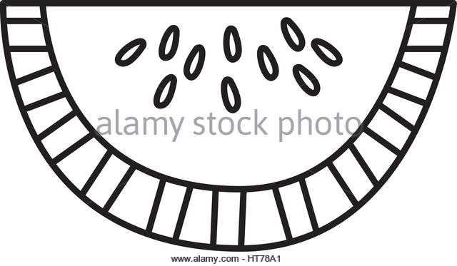 640x373 Drawing Watermelon Sweet Vitamin Nature Stock Photos Amp Drawing