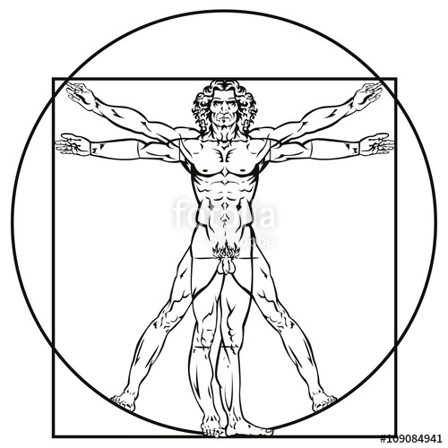 500x500 Leonardo Da Vinci Vitruvian Man Stock Image And Royalty Free