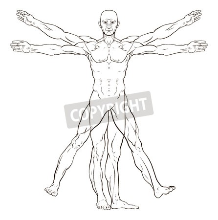 446x450 Ready Made Deisgns For Proportion