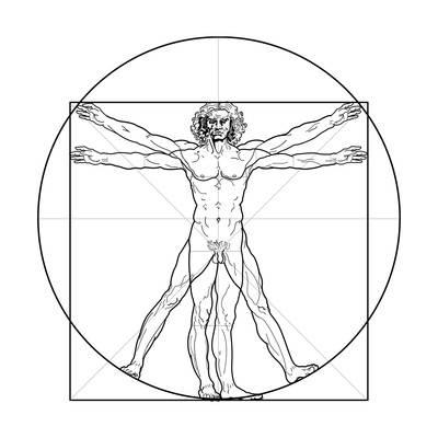 Vitruvian Man Drawing at GetDrawings | Free download