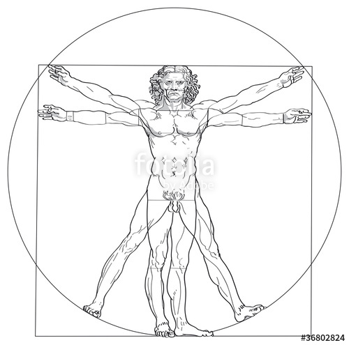 500x495 Vitruvian Man, Leonardo Da Vinci. Vitruvian Man, Based On