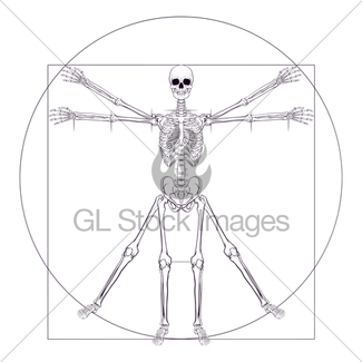 325x325 Vitruvian Man Da Vinci Style Figure Gl Stock Images