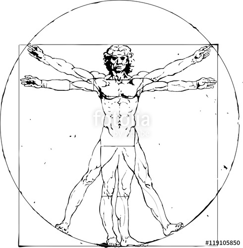 490x500 Vitruvian Man Leonardo Da Vinci Stock Image And Royalty Free
