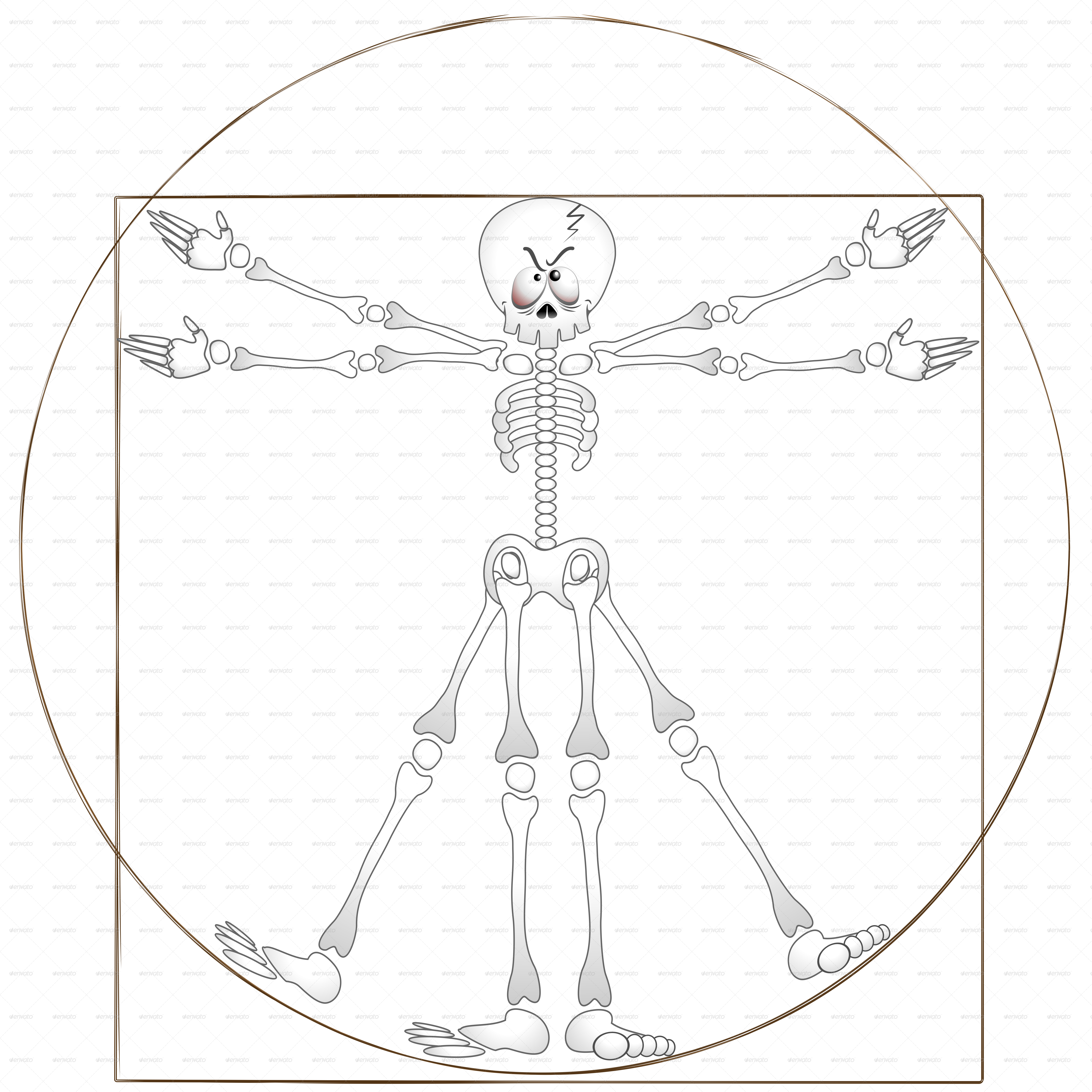 5000x5000 Vitruvian Man Skeleton By Bluedarkat Graphicriver