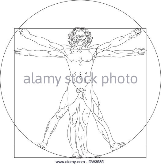 525x540 Vitruvian Man Stock Photos Amp Vitruvian Man Stock Images