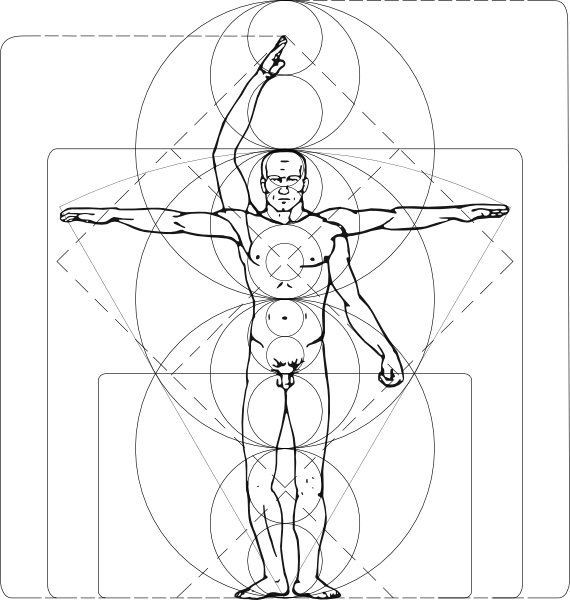 570x600 Vitruvian Man Clip Art Free Vector 4vector