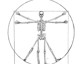 340x270 Vitruvian Man Sketch Etsy