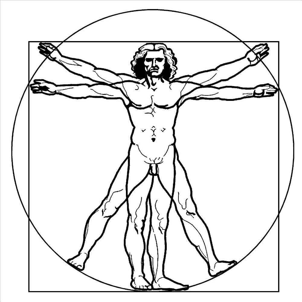 1000x1000 Free Shipping Leonardo Da Vinci Vitruvian Man Vinyl Wall Art