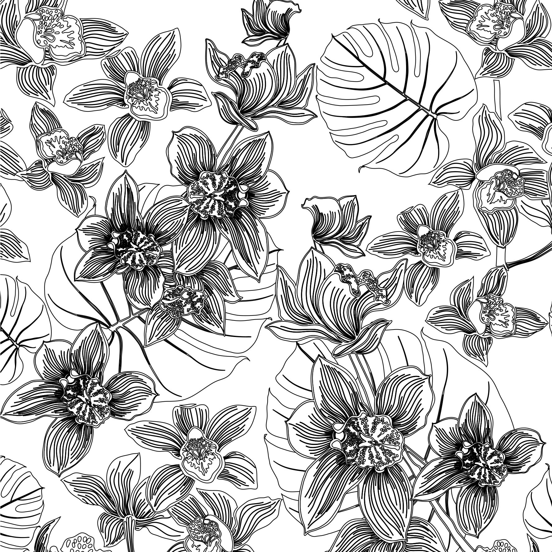 1774x1774 Vive Le Color! Tropics (Adult Coloring Book) Color In De Stress