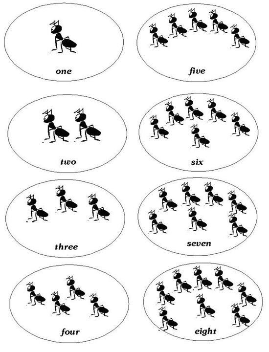 550x720 519 Best English Vocabulary Practice Images On English