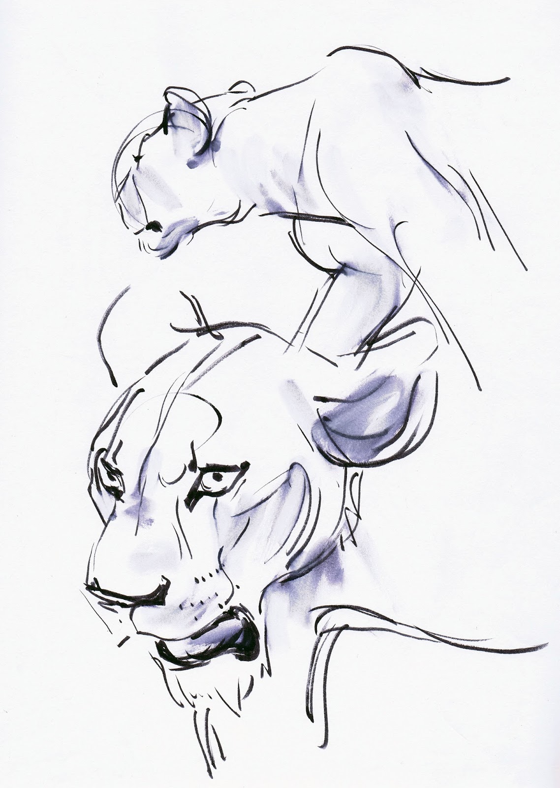 1138x1600 Deja View Drawing Lions