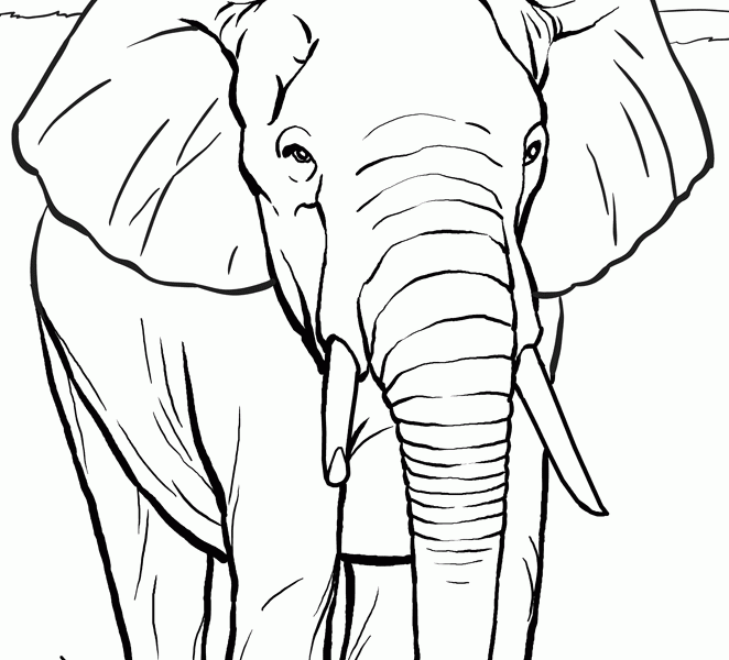 662x600 Coloring Book Drawings Color Book Pics Animals Volcanoes 25