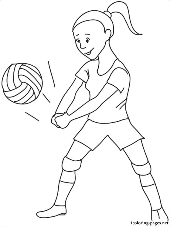 Volleyball Court Drawing at GetDrawings | Free download