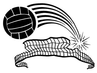 320x243 Volleyball And Net 3 Decal Sticker