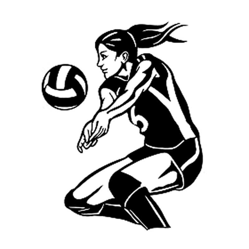 800x800 Buy Volleyball Silhouette And Get Free Shipping
