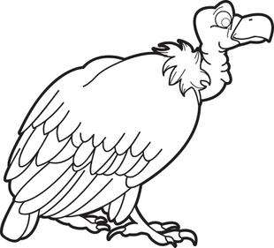 310x281 Vulture Coloring Page Printable In Snazzy Paint 4142 Dringrames