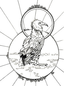 225x300 Vulture Drawings