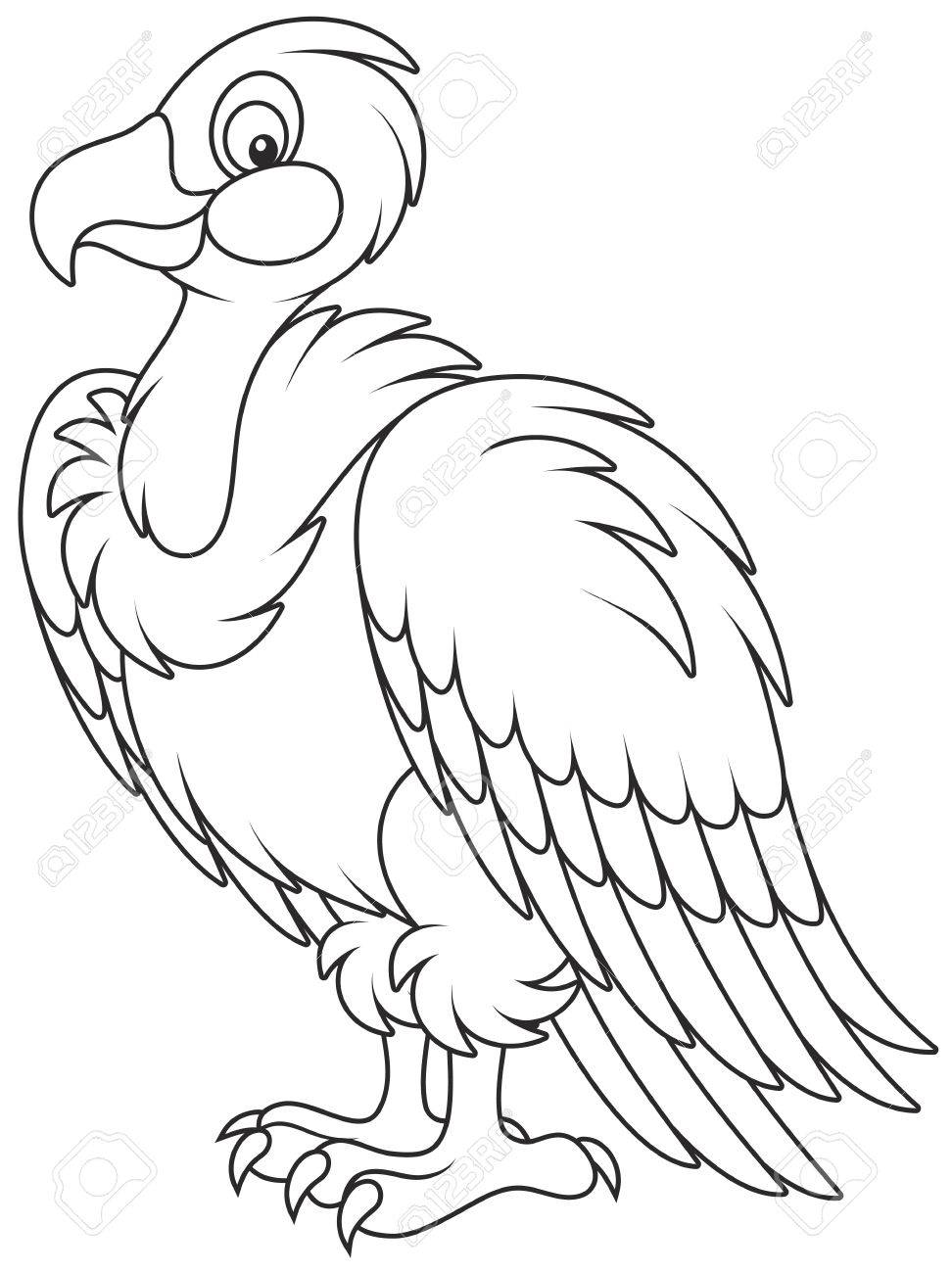 972x1300 Vulture Royalty Free Cliparts, Vectors, And Stock Illustration