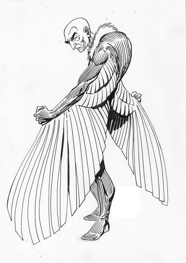 637x900 Coloring Pages Vulture, Printable For Kids Amp Adults, Free