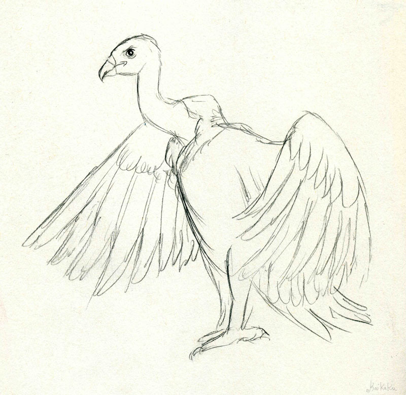 800x777 Vulture Sketch By Kaikaku