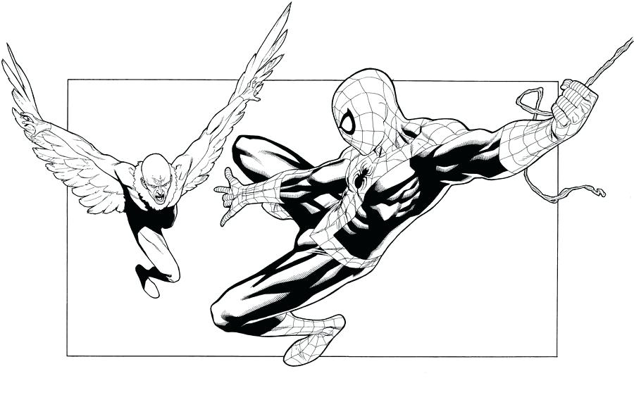 900x561 Best Vulture Coloring Pages Of Printable For Kids Adults Free