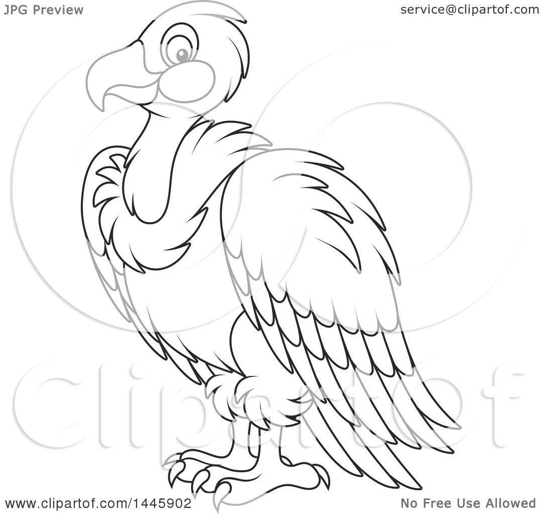 1080x1024 Clipart Of A Cartoon Black And White Lineart Vulture Bird