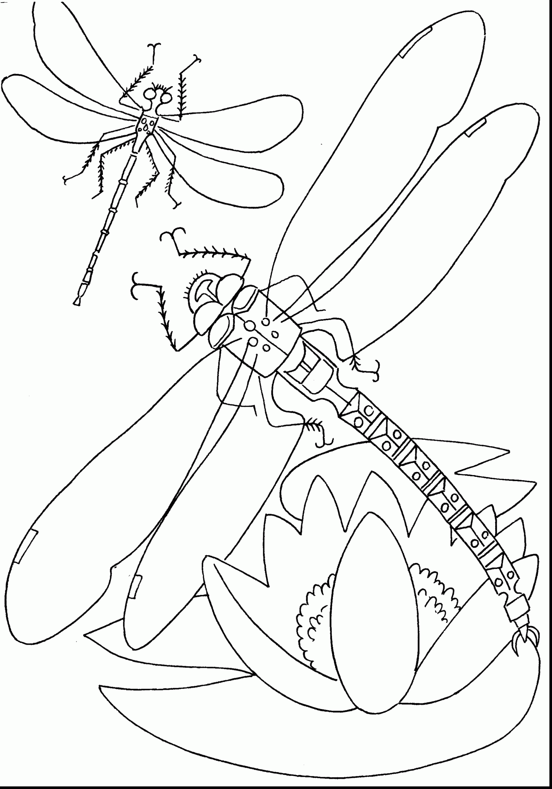 2120x3031 [ Volkswagen Bug Drawing ] Rollplay 6v Vw Beetle White