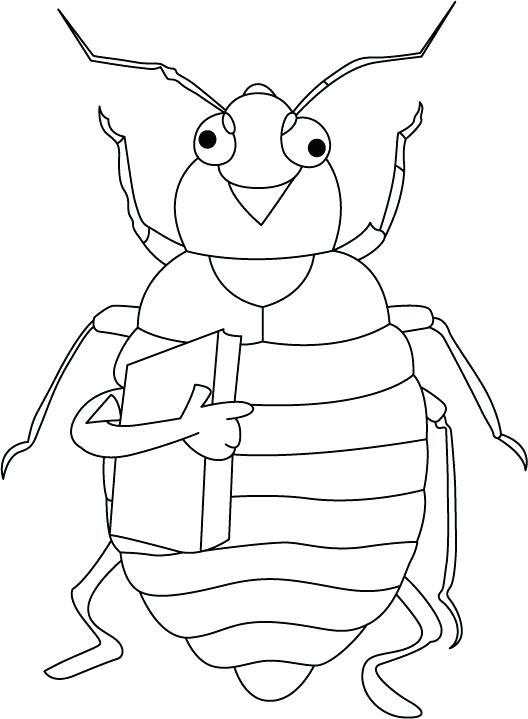 528x719 Bug Coloring Page
