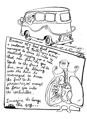 292x400 Bus Love Stories Of Life And Adventure With The Vw Bus