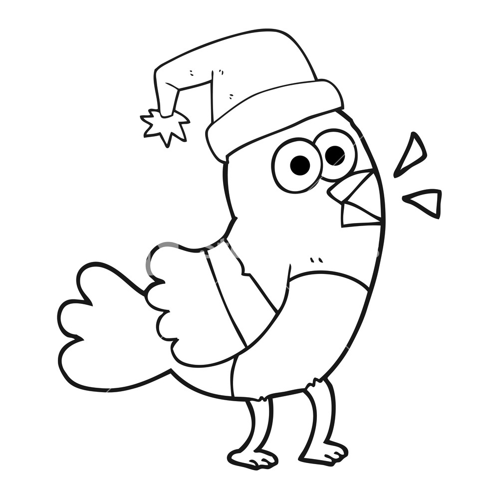 1000x1000 Freehand Drawn Black And White Cartoon Bird Wearing Christmas Hat