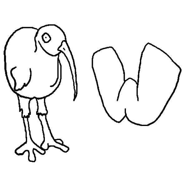 600x558 Kids Drawing Of Daisy Flower Coloring Page