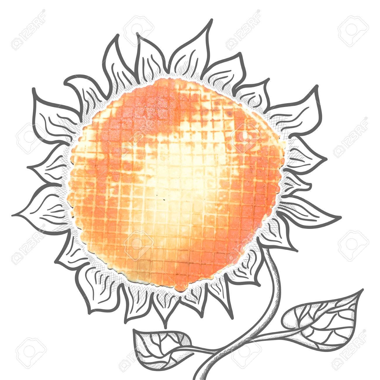 1300x1300 Sketch Of Abstract Sunflower With Waffles Royalty Free Cliparts