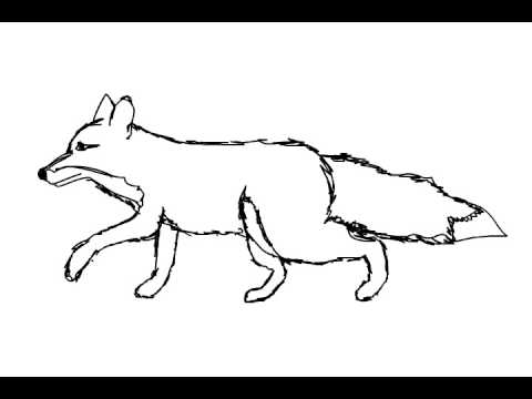 480x360 Fox Walk Cycle Still