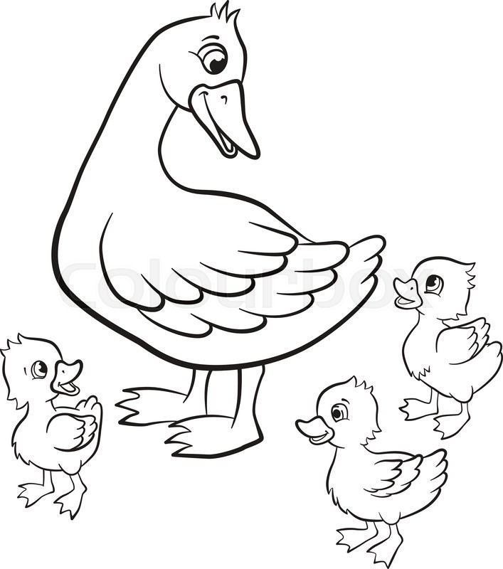 707x800 Coloring Pages. Kind Duck And Free Little Cute Ducklings Walk