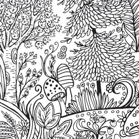 480x480 Giant Coloring Poster In Forest Print
