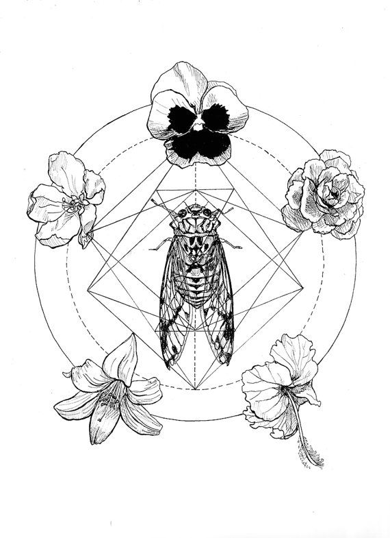 570x785 Best Iris Drawing Ideas On Drawing Techniques, Eye