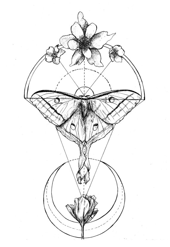 570x828 Items Similar To Moth Print, Print Illustration, Geometric Print