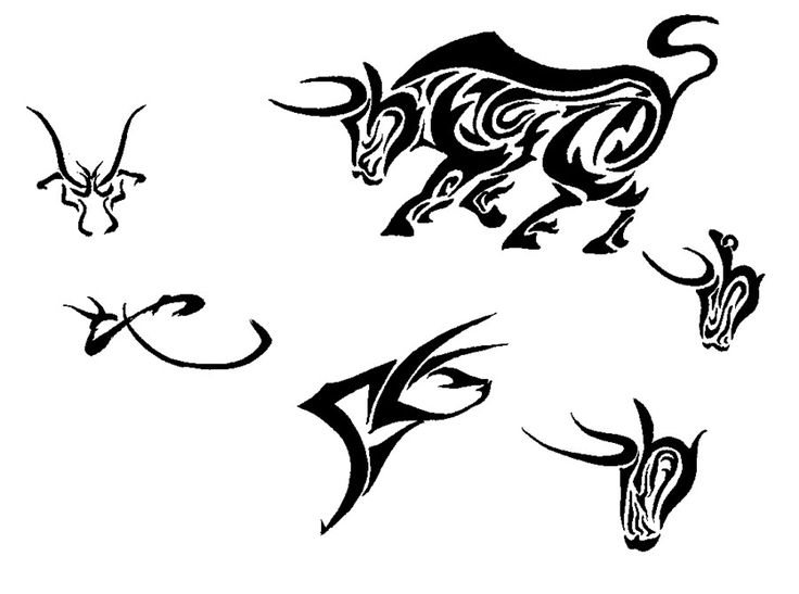 736x547 39 Best Bull Tattoo Drawings Images On Bull Tattoos