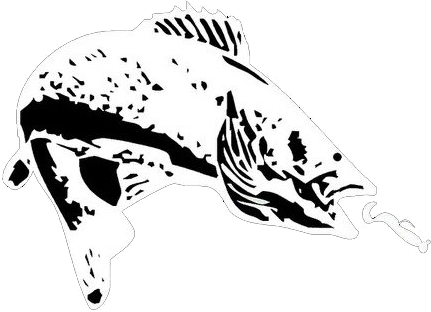 431x312 Fishing Guides Northwest Angle Lake Of The Woods, Mn